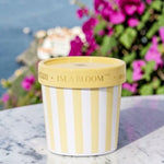 Caffe Capri 6.5oz Gelato Cup, Isla Bloom