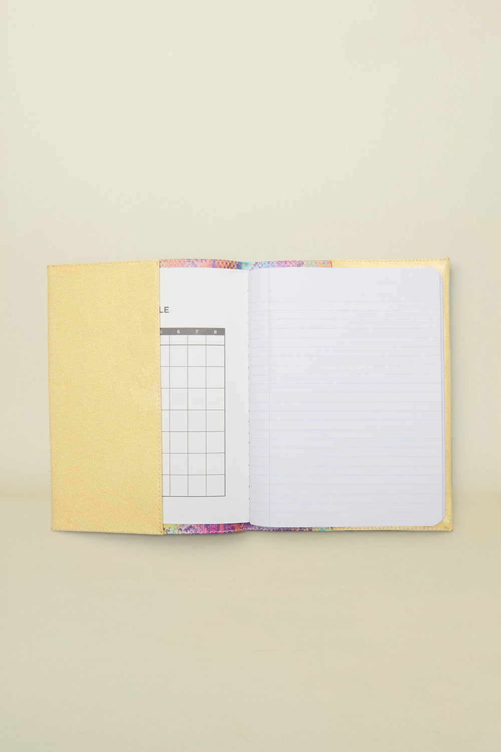 Consuela Steph Notebook interior view