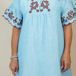 A woman modeling a light blue cotton dress with brown floral embroidery on the neckline, sleeve cuffs, and hem, standing against a neutral beige studio background.