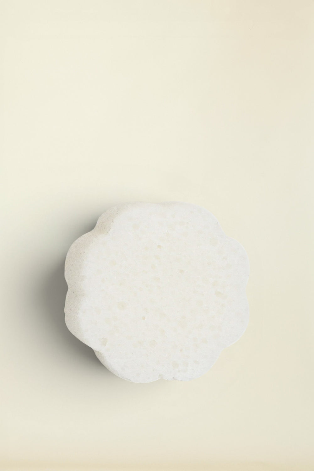 daisy spongelle