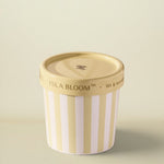 Isla Bloom ice cream container with striped design on a table