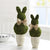 Preserved Moss Bunny Pot