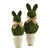 Preserved Moss Bunny Pot