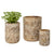Wildflower Wooden Vases S/3